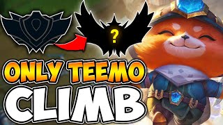 TEEMO TO CHALLENGER  ZWAG [upl. by Kylen]