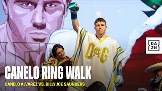 Canelos EPIC Cinco de Mayo Themed Ring Walk [upl. by Kreis]