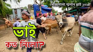 Bhai Koto Nilo Postogola Gorur Haat 2024  EidUlAdha 2024  Qurbani Cow Price in Bangladesh 2k24🔥 [upl. by Mackler718]