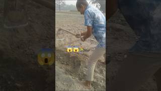 Raja raider खेतों में काम कर रहे हैंrajaraider youtubeshorts shortvideos kisan viralre new [upl. by Nnylg254]