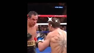 Marquez vs Katsidis fight boxing [upl. by Lucky932]