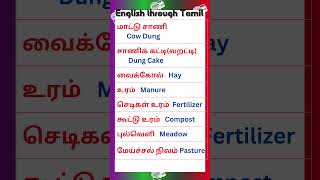 92 Vocabulary for Spoken English in Tamil vocabularyintamil spokenenglishintamil [upl. by Auhsaj]