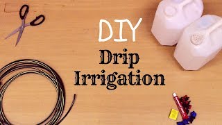 DIY Rs40 Automatic Irrigation System for Home Garden [upl. by Doi121]