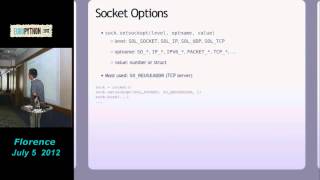 Using sockets in Python [upl. by Boy]