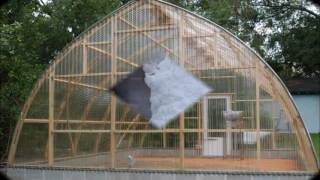 Gothic Arch Greenhouses [upl. by Ihn]