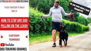 How to STOP your dog from pulling on a lead amp walk PERFECTLY [upl. by Viglione]