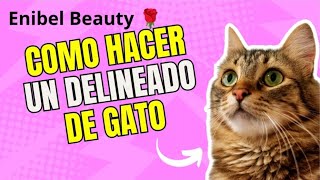 Como hacer un delineado 🌹 ‎encarnigar makeuptutorialdemaquillajebellezaaprende [upl. by Lednahs]