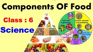 Components Of Food  Full Chapter  Class  6  SCIENCE  CBSE  NCERT  Deficiency diseases [upl. by Ahsiemak]