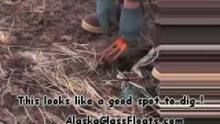 BeachCombing Alaska Glass Floats 2008 [upl. by Eibbil]