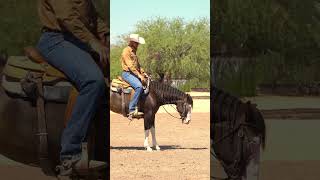 Direct rein can make your horse heavy in the face reining reiningmasterclass horsetrainingtips [upl. by Nosrac]