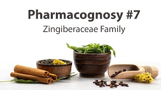 7 Zingiberaceae Family  Pharmacognosy [upl. by Urial]