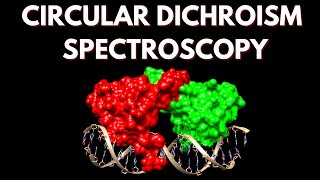 Circular Dichroism Spectroscopy for Protein Structural Analysis [upl. by Natiha444]