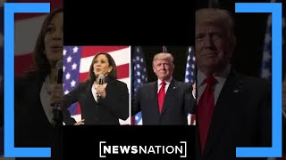 Trump takes slight lead over Harris in election forecast DDHQ [upl. by Brackely]