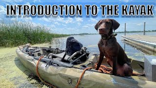 INTRODUCTION TO THE KAYAK [upl. by Dolora]