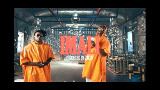 MashBeatz amp Wordz  Imali Ft Usimamane Official Music Video [upl. by Erelia]