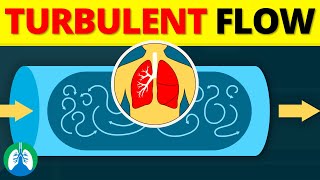 Turbulent Flow in the Lungs EXPLAINED [upl. by Aeuhsoj]