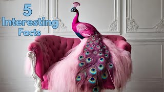 5 interesting facts about peacock [upl. by Ertnom]