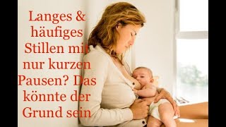 Clusterfeeding lange Stillsessions mit nur kurzen Pausen [upl. by Mori]