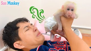 Dad helps baby monkey Son clean up after pooping [upl. by Atinal]