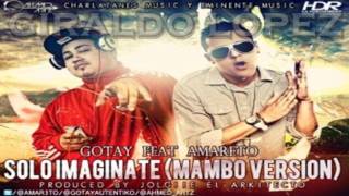 Gotay El Autentiko Ft Amaretto  Solo Imaginate Version Mambo [upl. by Reivazx]