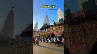 Govardhan puja shortvideo hindu festival viralvideo [upl. by Mosora]