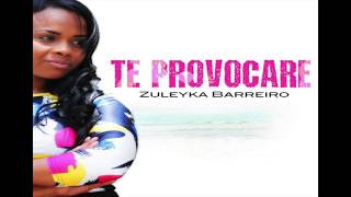 Zuleyka Barreiro Te Provocare Album Completo copia [upl. by Anilahs288]