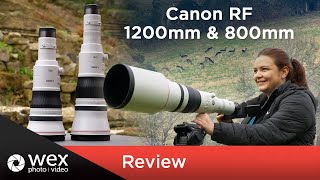 New Canon RF 1200mm and 800mm  First Look Review [upl. by Nnylrefinnej]