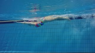 Butterfly swimming drills 이현진  접영운동하기 how to butterfly stroke  접영연결동작 butterfly [upl. by Juieta]