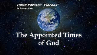 41  Torah Parashah Pinchas [upl. by Jovitta430]