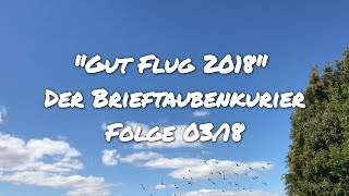 Der Brieftauben  Kurier 032018 [upl. by Risa]