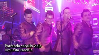 Orquesta Candela  Parranda caballo viejo 2015 [upl. by Towrey412]