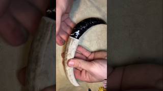 handmade art fossil sculpture survival obsidian shortvideo [upl. by Ewan]