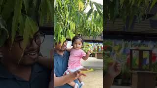 Papa let’s pluck some leaves🧿youtubeshorts shorts cute viralvideo love baby trending [upl. by Sibilla]