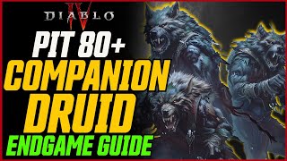 Companion Druid is INSANE Pit 80 Made Easy  Diablo 4 Season 4 Druid Build Guide [upl. by Neerod]