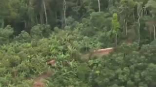 North Sentinel Island drone view India [upl. by Drucy]