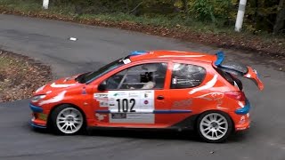 Rallye Monts et Coteaux 2016  Mistake and Show [upl. by Sykleb]