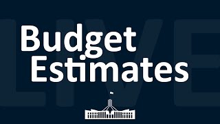 Finance amp Public Administration  Budget Estimates  04112024 [upl. by Wenonah]