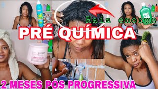 REALIDADE DO MEU CABELO 2 MESES PÓS PROGRESSIVA ROTINA CAPILAR PREPARANDO CABELO MUDANÇA DE QUÍMICA [upl. by Bruni]