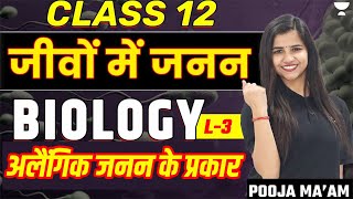 Reproduction In Organisms  Types Of Asexual Reproduction  Class 12th Biology  By Pooja Mam [upl. by Hebe114]