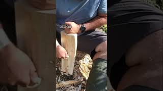 Mastering Woodworking Sharpening Tools for Perfect Cuts 1 [upl. by Eissahc549]