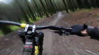 Soggy first run down Popty Ping  Bike Park Wales [upl. by Emlynn557]