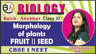 MORPHOLOGY OF FLOWERING PLANTS FRUIT  SEED  CLASS XI BIOLOGY NEET 2025 ANUBHAV [upl. by Neelrad941]