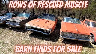 FULL Line of Mopars in a Junkyard For Sale [upl. by Noramac]