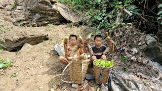 Harvest taro tubers and beans and go to the market to sell [upl. by Aliac]