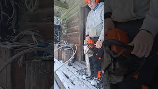 Cold starting my 362chainsaw stihl wood tree chainsawstihl coldstart lumberjack lumber [upl. by Natty]