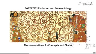 Macroevolution Video 2  EART22101  Palaeobiology and Evolution [upl. by Deeann]