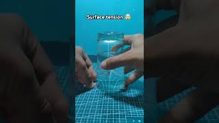 Surface tension physics experiment surfacetension scienceexperiment diy surfacetension shorts [upl. by Nnaesor171]