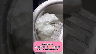 Mozzarella cheese 🧀 making just 2 ingredients cheese manamwithsathya ytshort [upl. by Lisa]