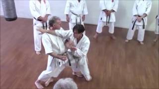 Karate Shotokan  Irimi Nage  Rick Hotton Sensei [upl. by Ieppet]