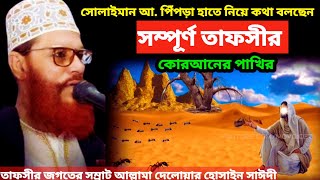 সম্পূর্ণ তাফসীর কোরআনের পাখির  allama delwar hussain saidi waz  delwar hossain sayeedi waz [upl. by Yortal992]